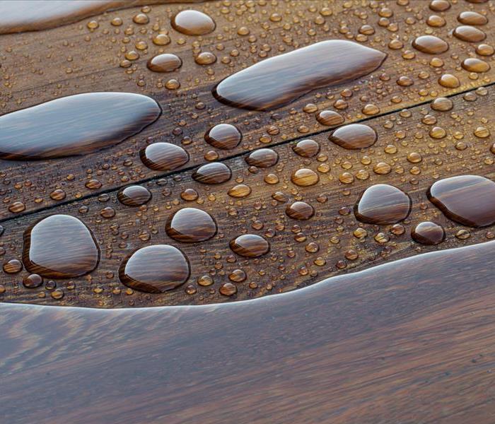 wooden flooring plants with water on top