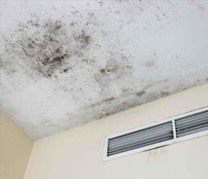 Mold on the ceiling of a home
